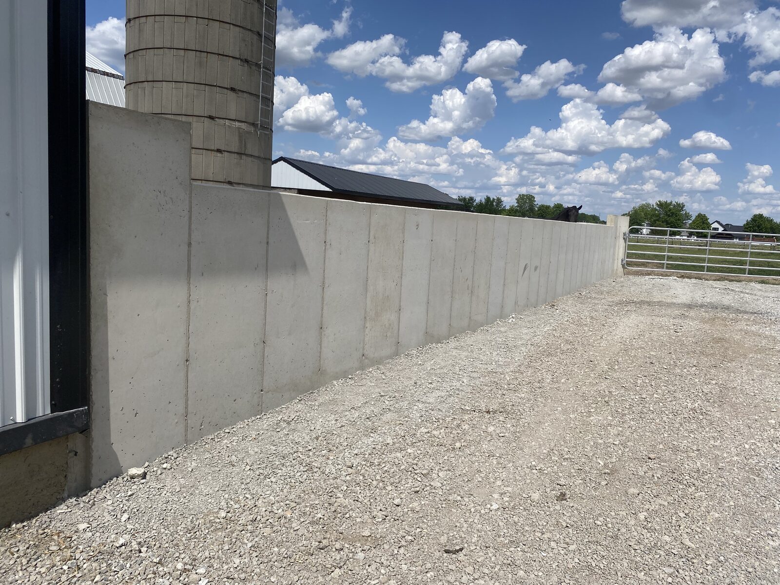 Poured residential concrete walls — photo 3
